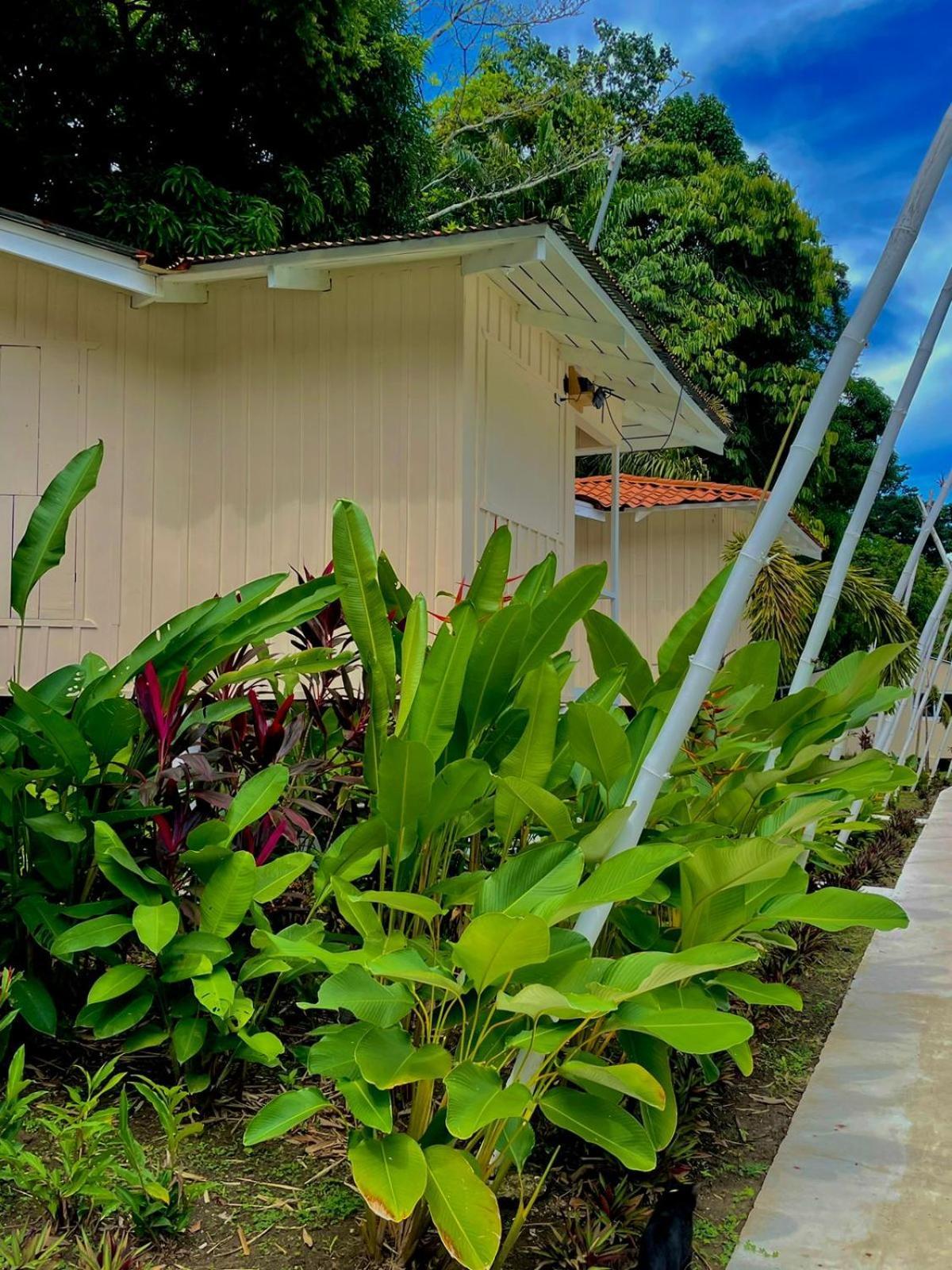 Grand Park Manuel Antonio - Adults Only Hotel Exterior foto